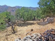 Pines MIT BESICHTIGUNGSVIDEO: Bauland am Meer mit Panoramablick auf die Bucht von Elounda Grundstück kaufen